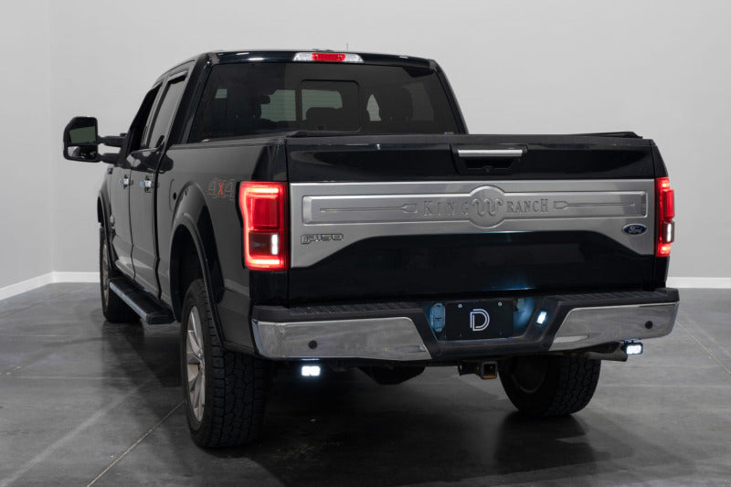 Diode Dynamics 15-20 Ford F-150 C2 Pro Stage Series Reverse Light Kit