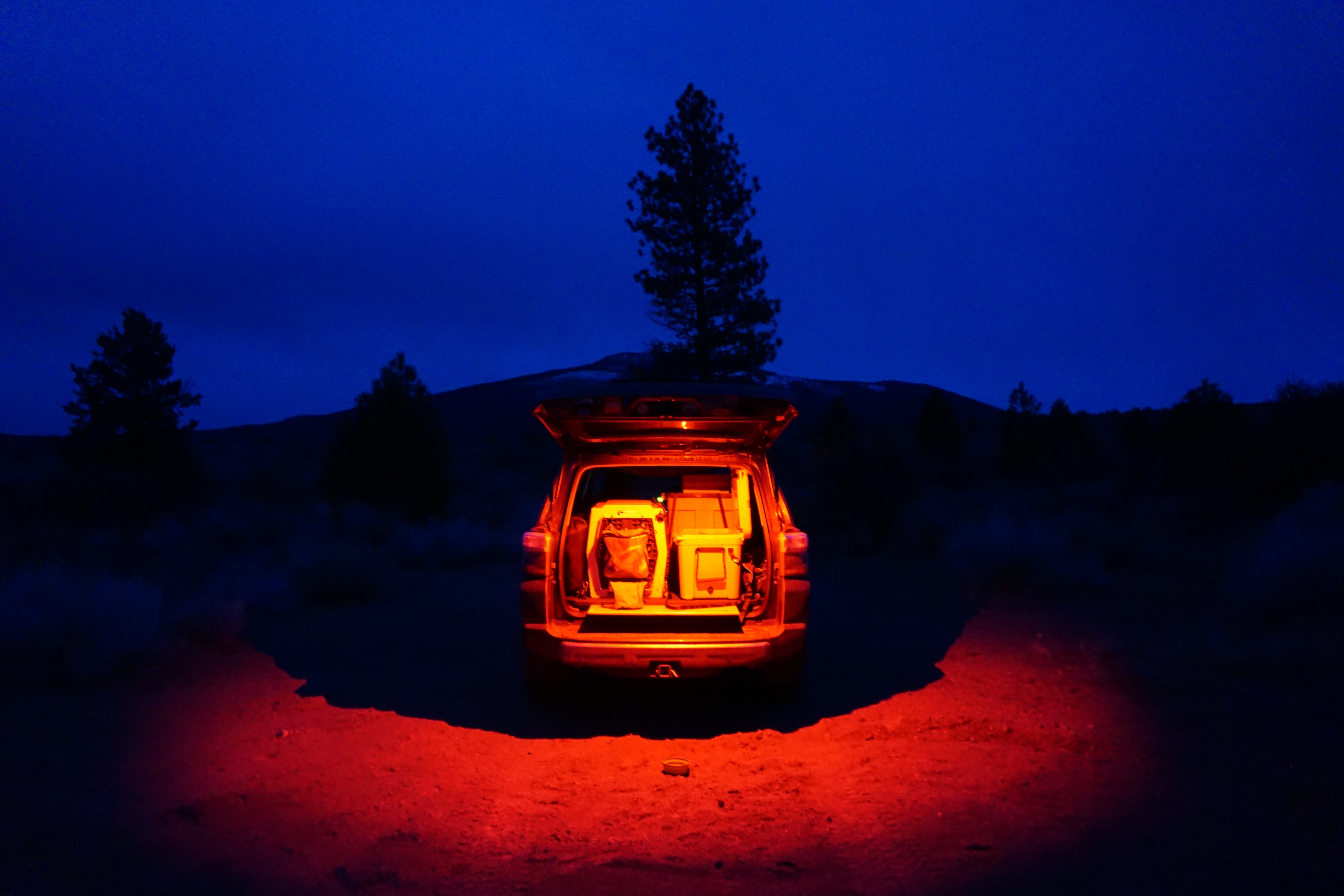 LED Dome Light w/Switch Baja Designs