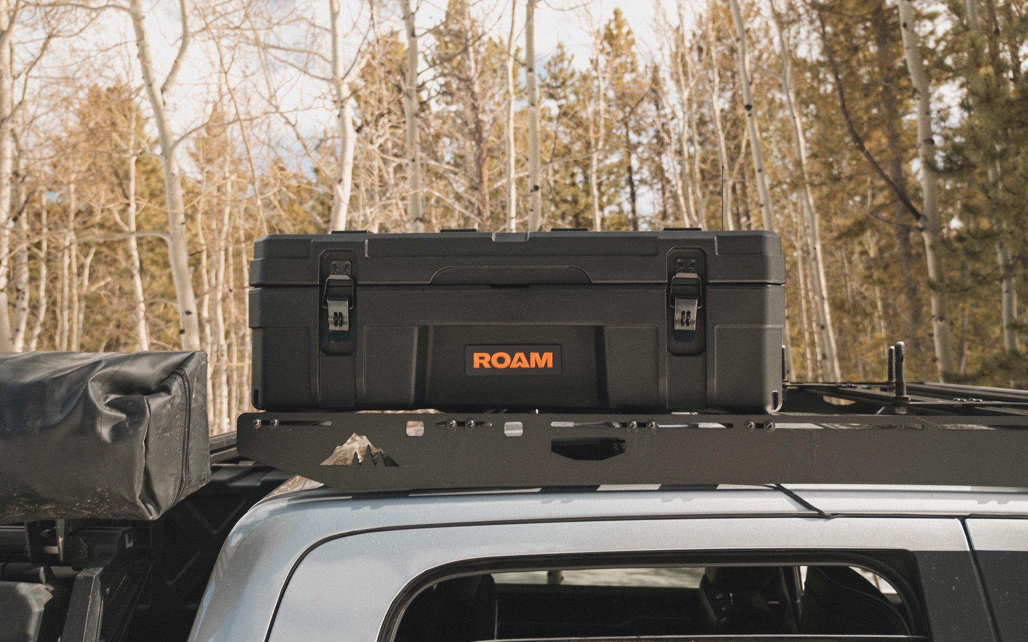 ROAM 66L Rugged Case