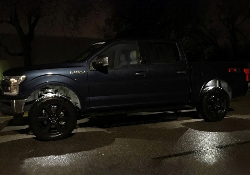Ford Racing Under Body Rock Light Kit - White
