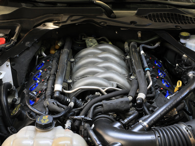 Close-up of a Ford Mustang V8 engine showing the afe SCORCHER Ignition Coil installed, highlighting performance upgrades.