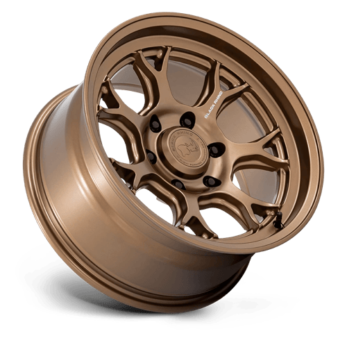 ETOSHA 17X8.5 6X120 66 -10 M-BRNZ