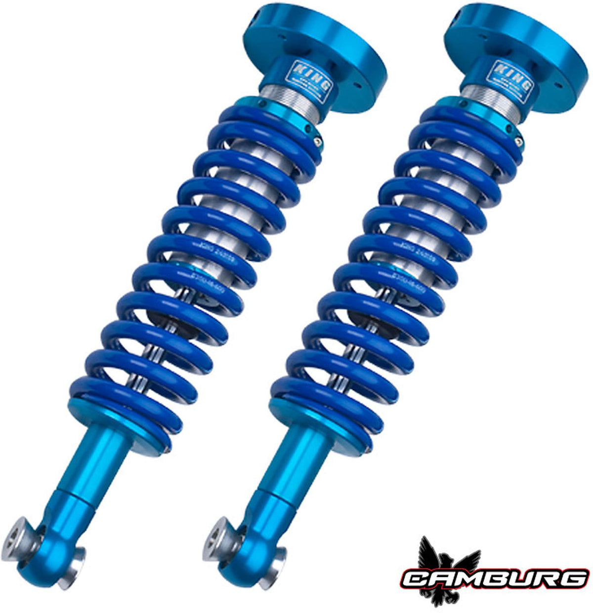 Camburg Engineering 2WD 2004-2008 Ford F-150 King 2.5 KINETIK Series Lift Kit CAM-110170-K