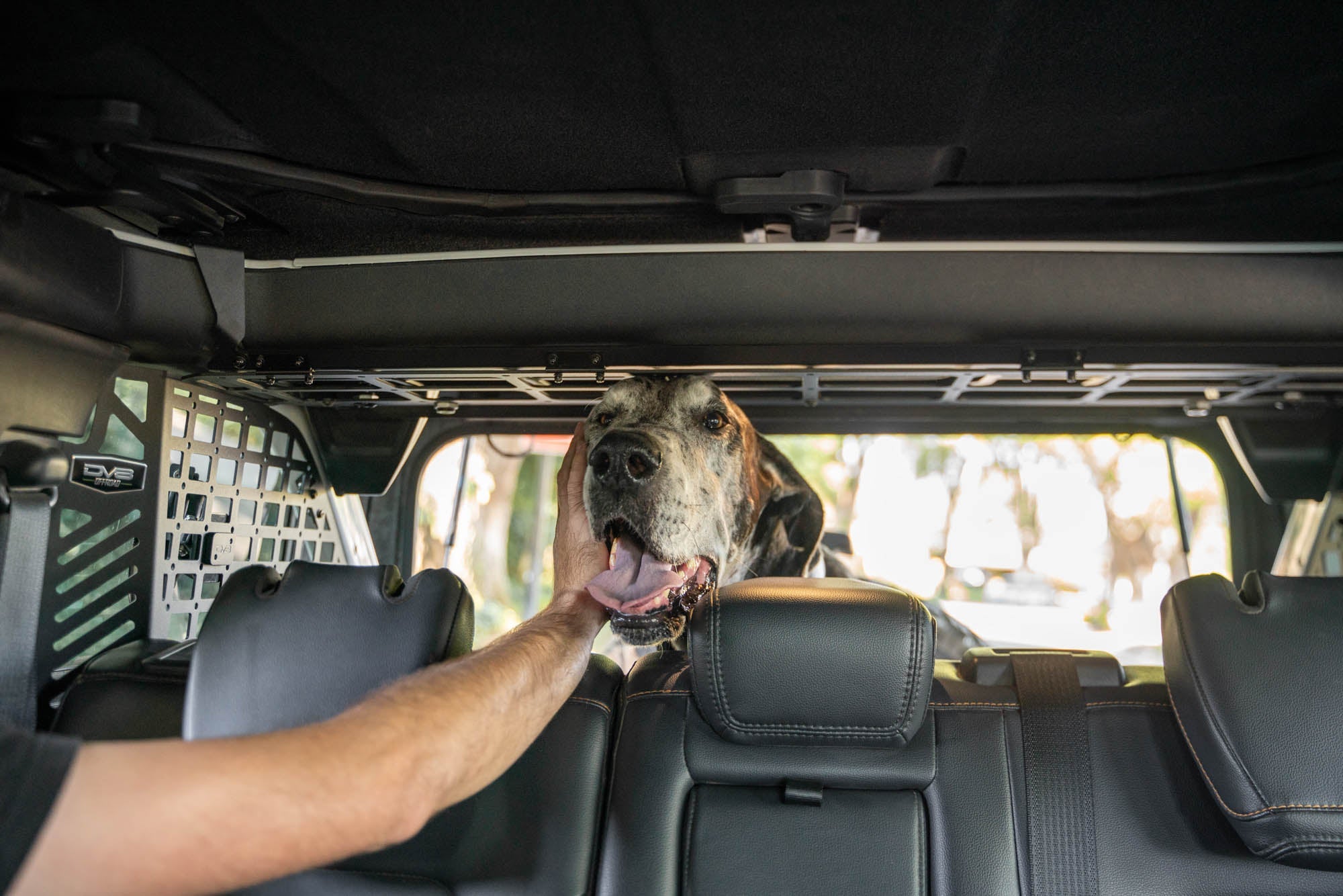 2021 2024 Ford Bronco Dog Barrier DV8 Offroad