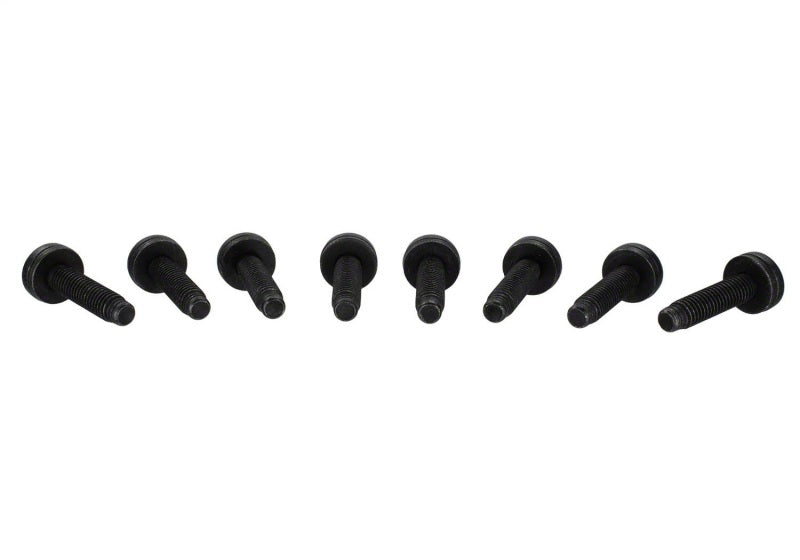 Ford Racing Bronco Tube Door Replacement Grab Handle