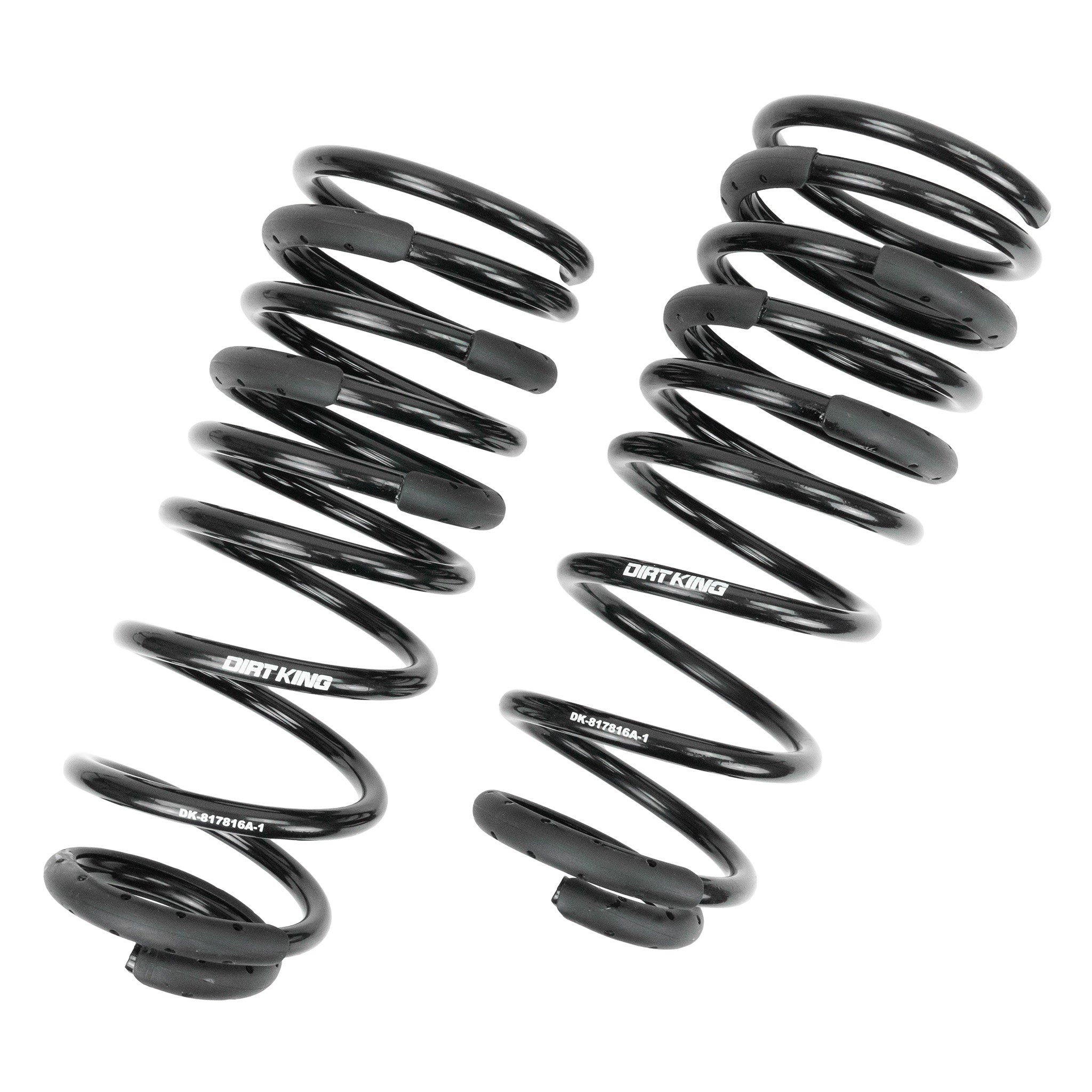 +1in Rear Springs