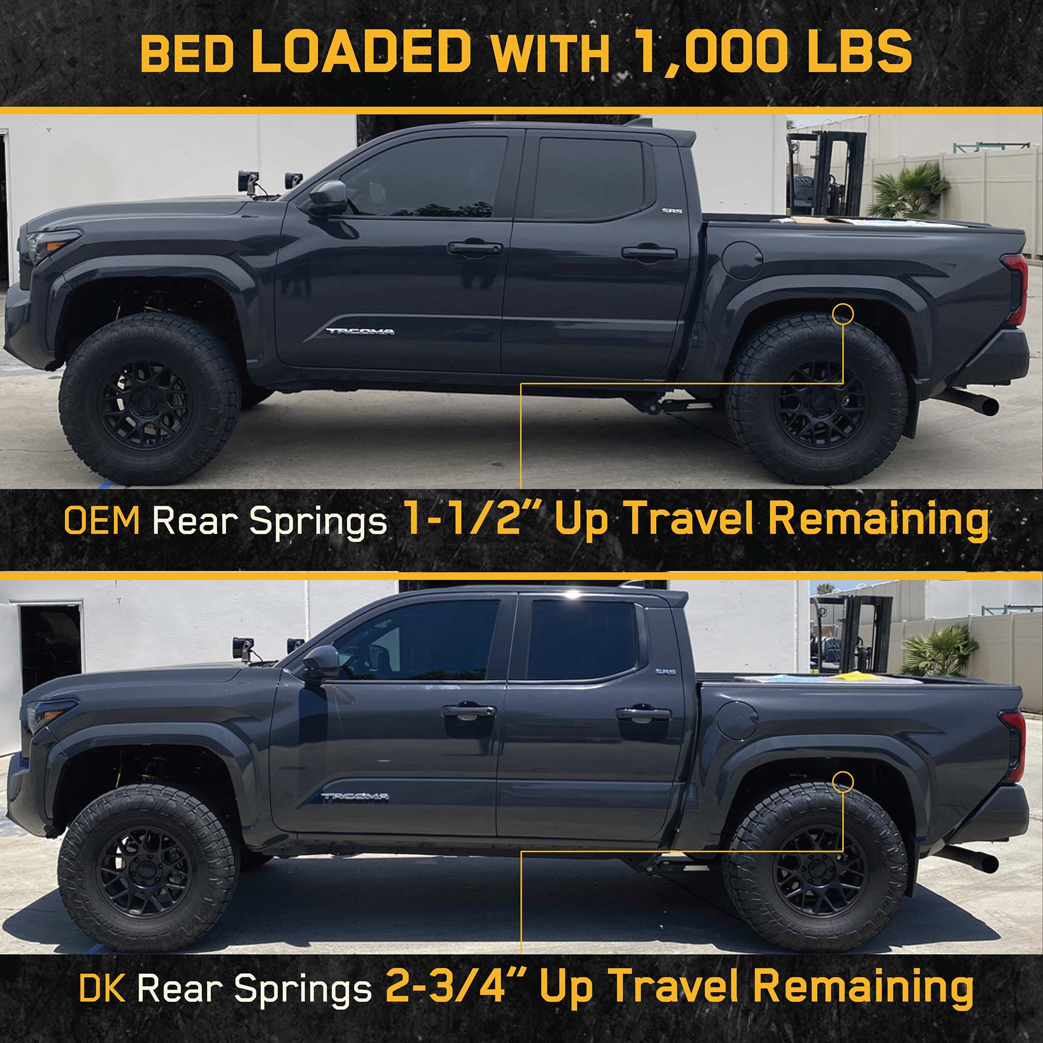 +1in Rear Springs