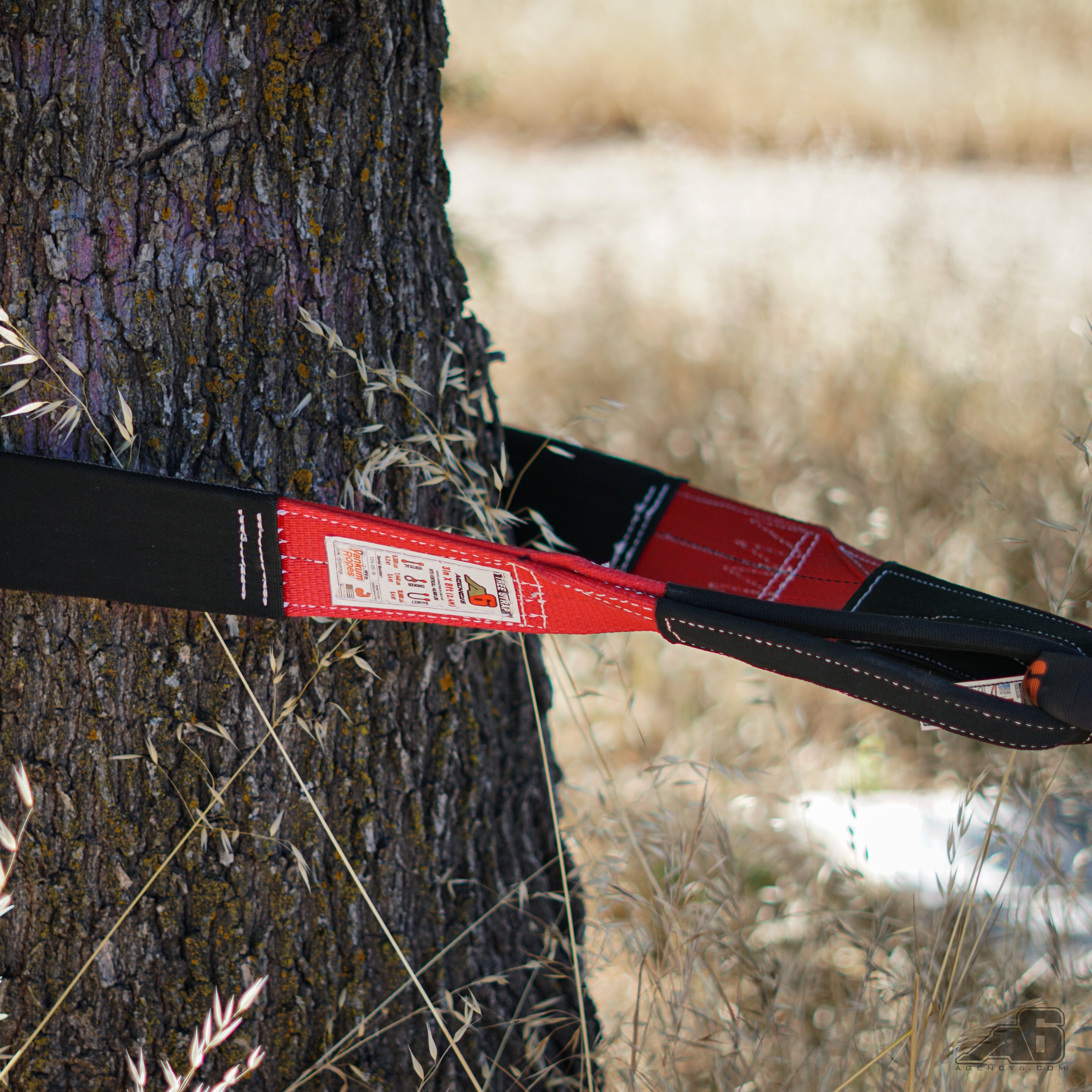 Tree strap - 3"x8' - 46,500 MTS