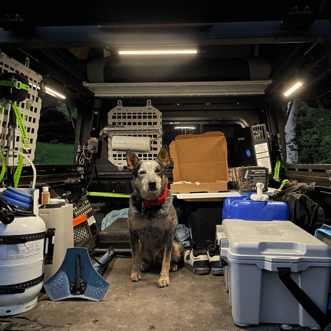 V Series 12" Light