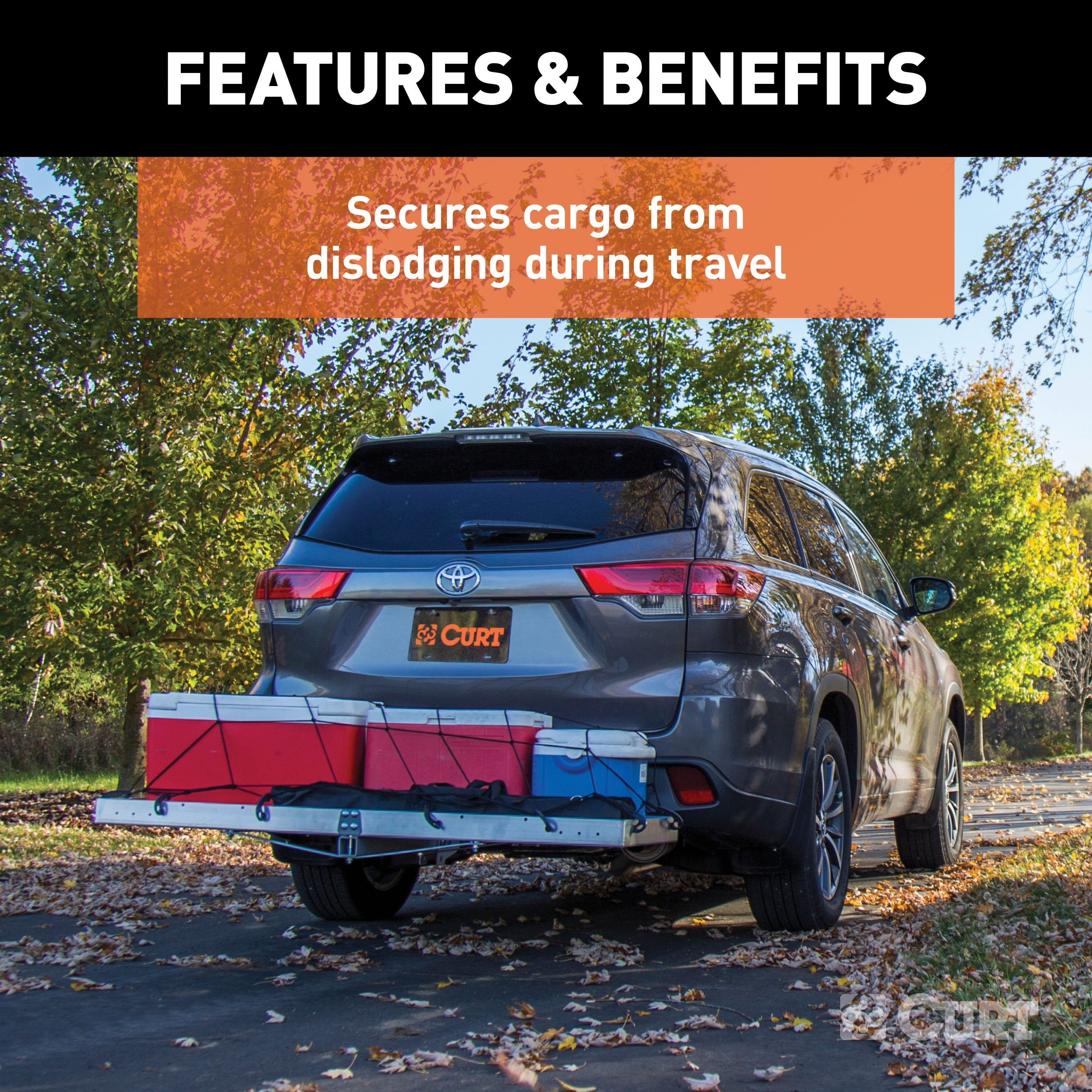 CURT 43 x 24-Inch Elastic Cargo Net with Hooks for Hitch Carrier Model 18202