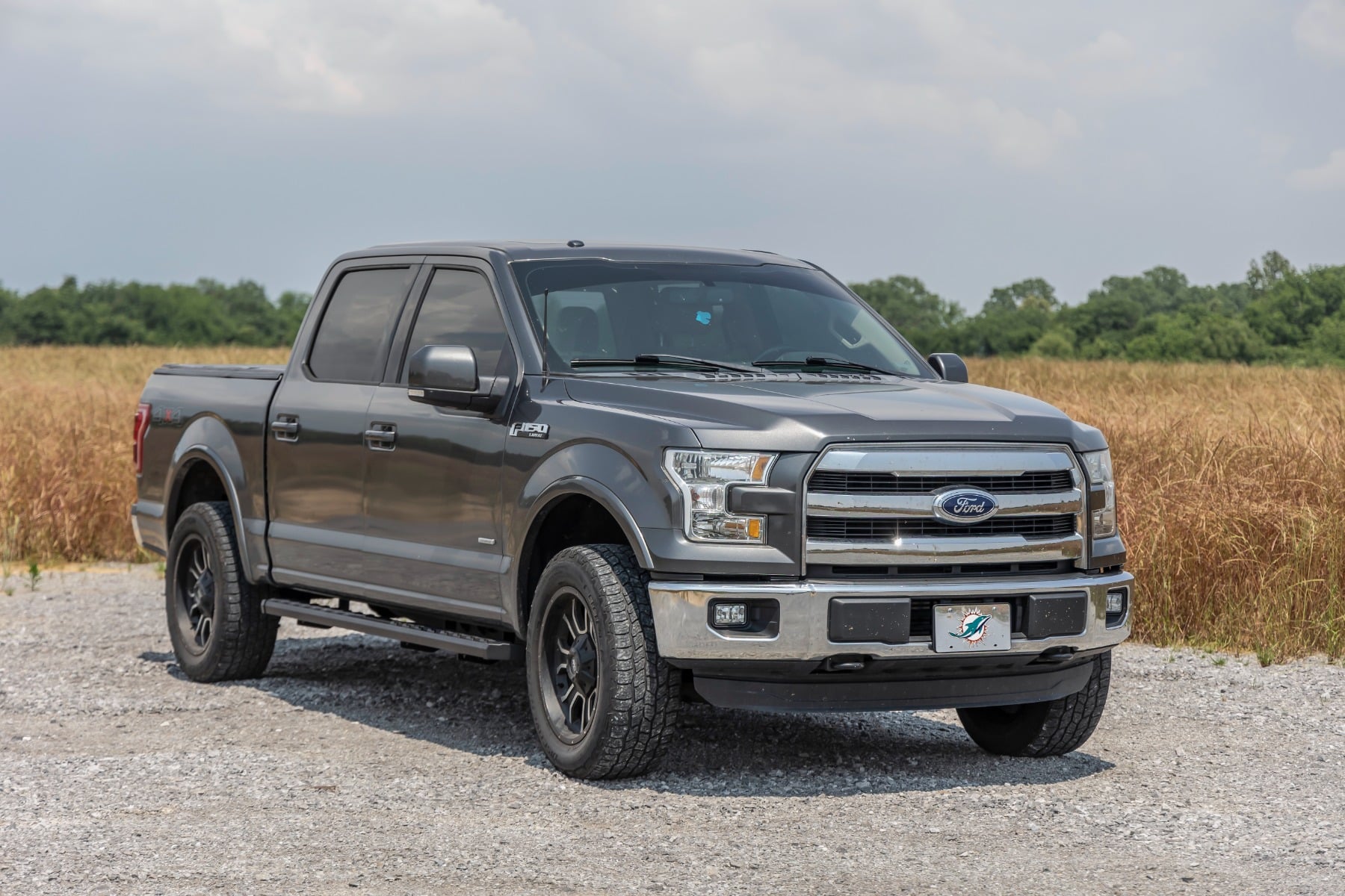 BA2 Running Board Side Step Bars Ford F-150/F-250/F-350 2WD/4WD (15-26) Rough Country