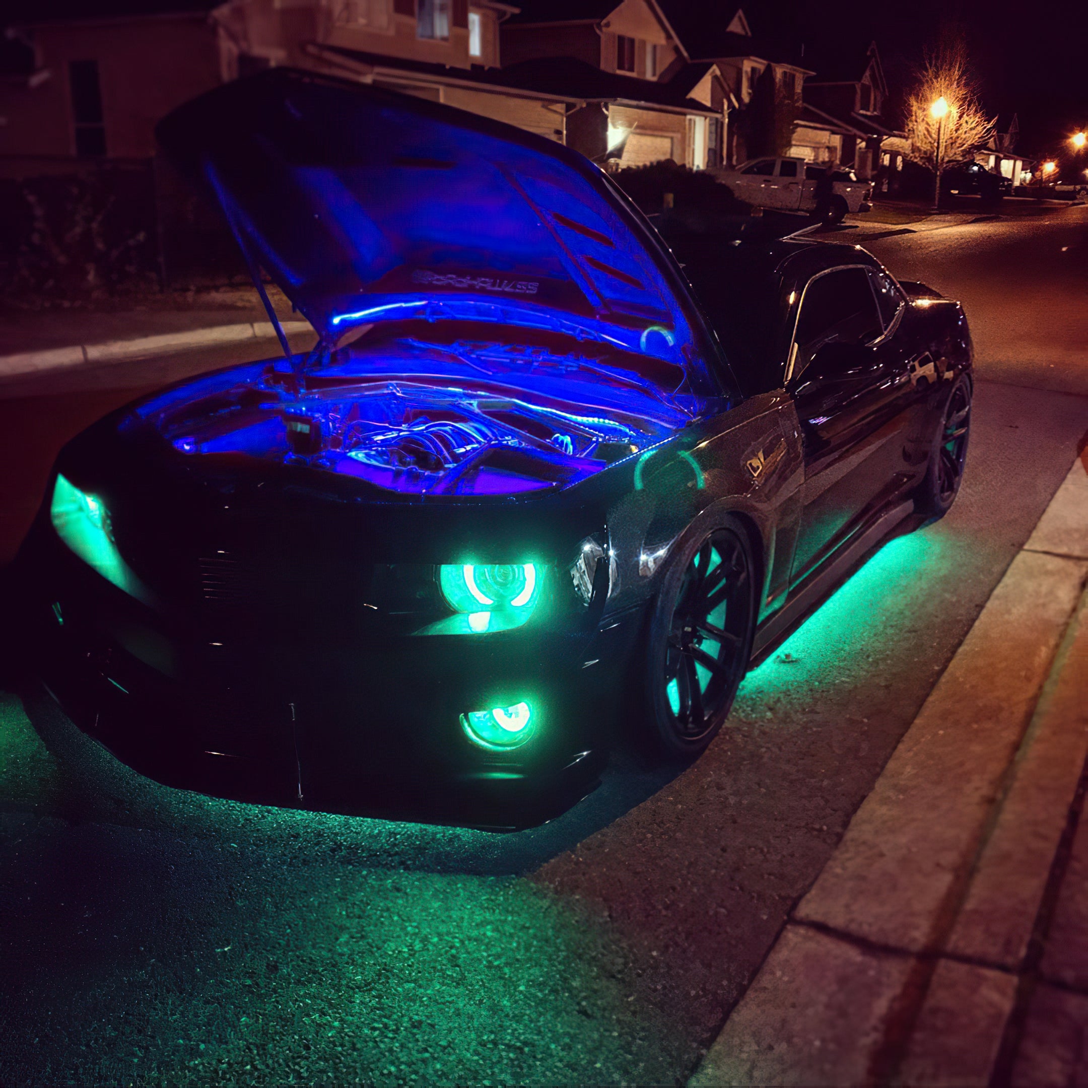 4229-332_BK.jpg
