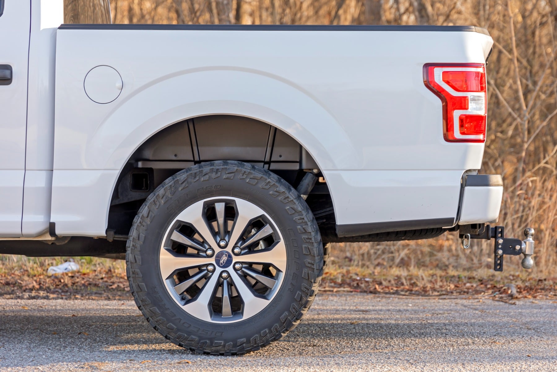 Rear Wheel Well Liners Ford F-150 2WD/4WD (2015-2020) Rough Country