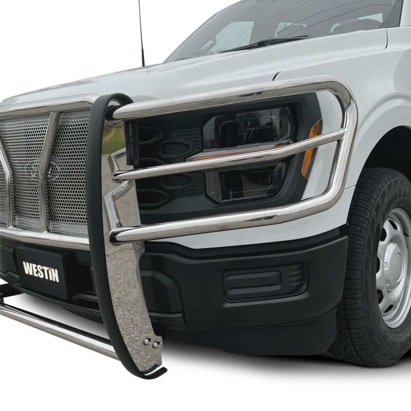 Westin 21-22 Ford F-150 (Excl. Raptor/Platinum) HDX Grille Guard - SS