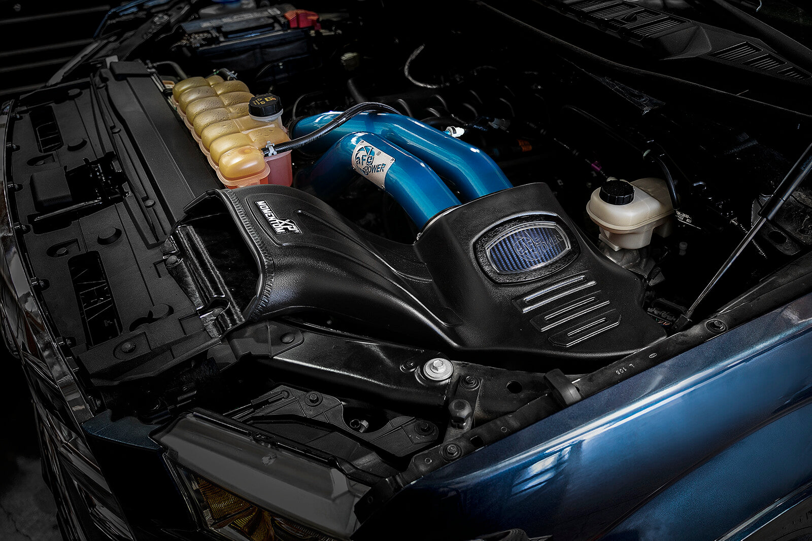 Momentum Xp Cold Air Intake System w/ Pro 5R Filter Blue Ford F-150 15-20 V8-5.0L aFe Power