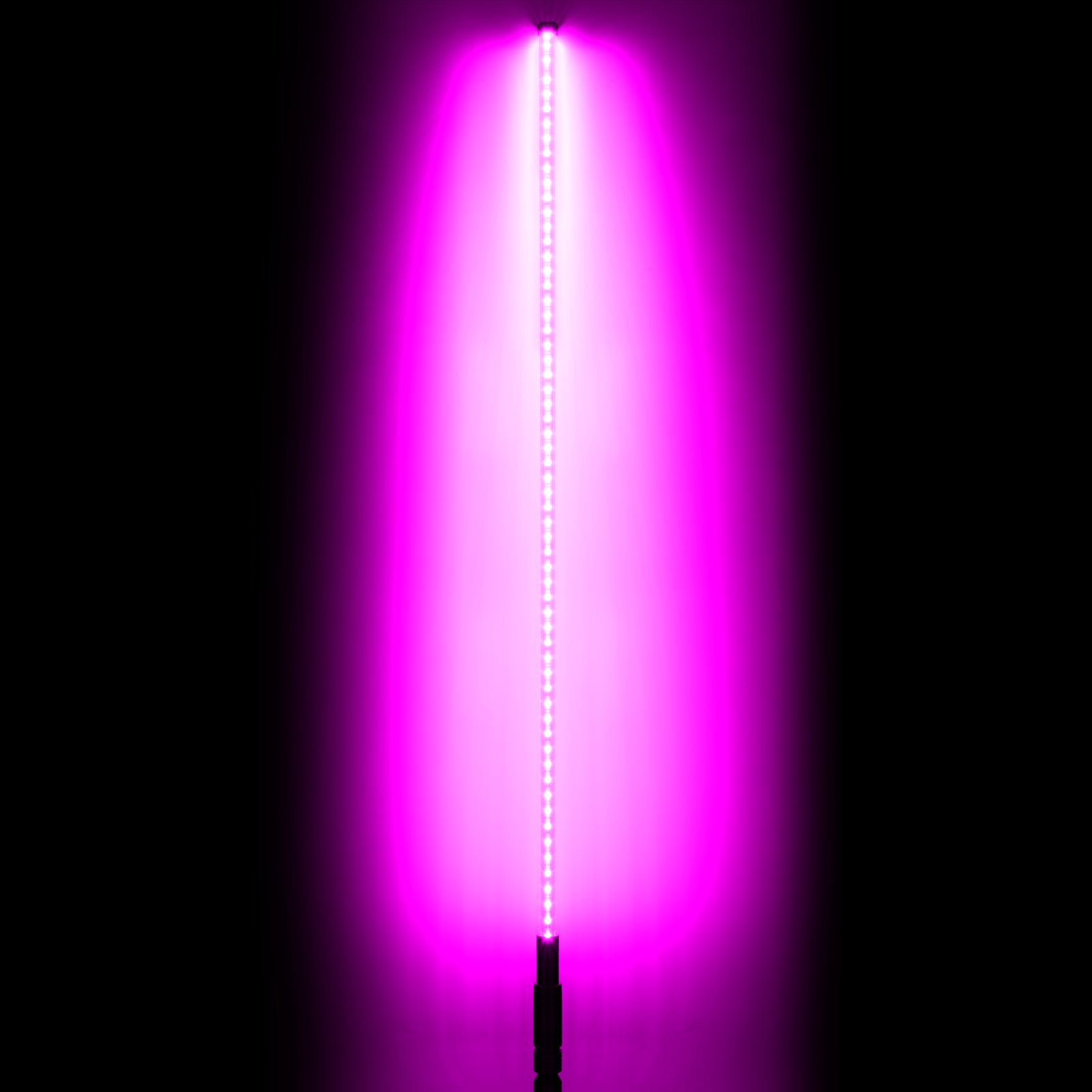 5781-333_I.jpg