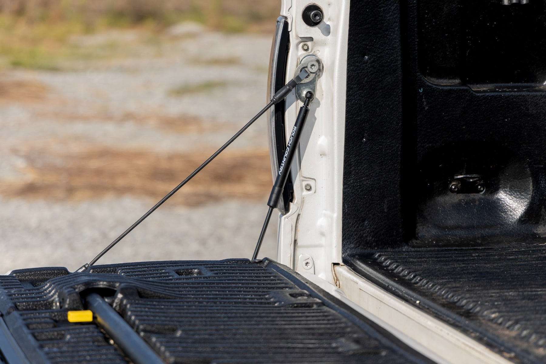 Tailgate Assist Ford F-150 2WD/4WD (2004-2014) Rough Country