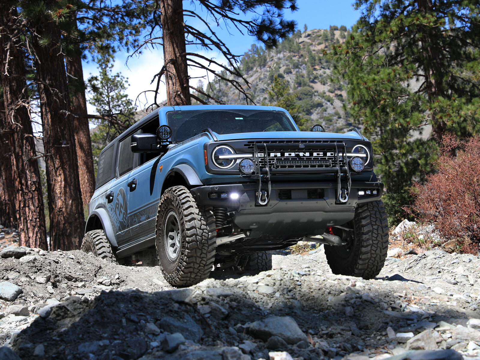 Terra Guard Bull Bar Ford Bronco 21-26 aFe Power
