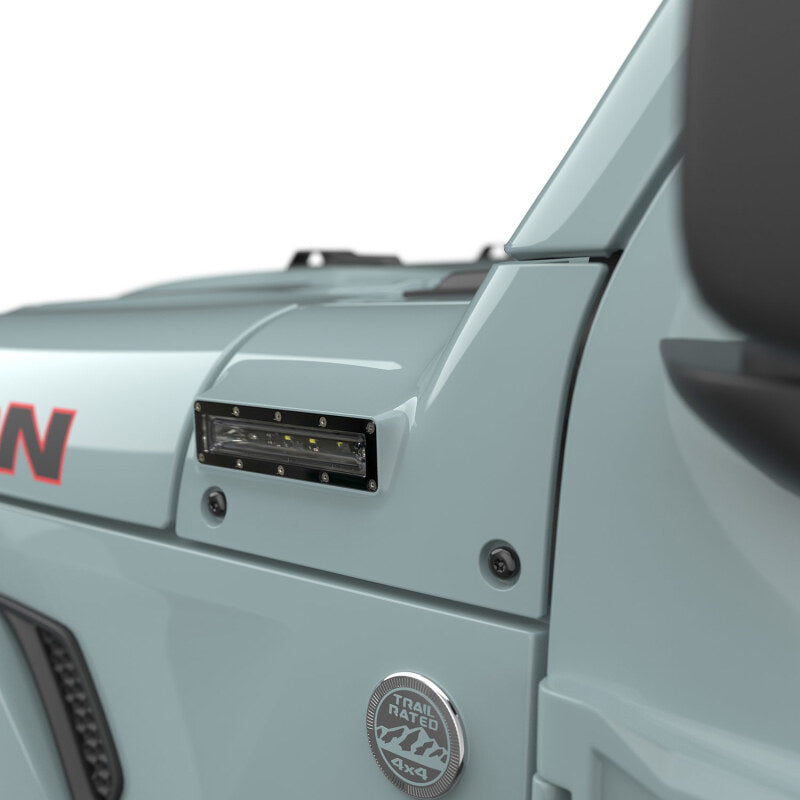 Photo - Close Up