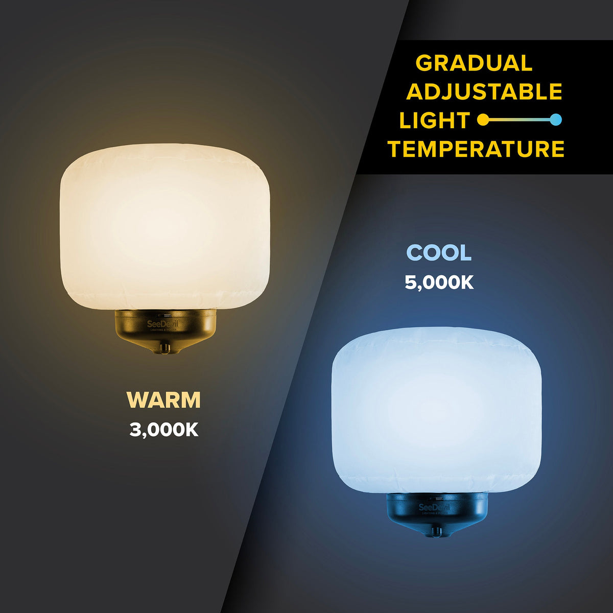 SeeDevil G3 60 Watt Balloon Light Fixture