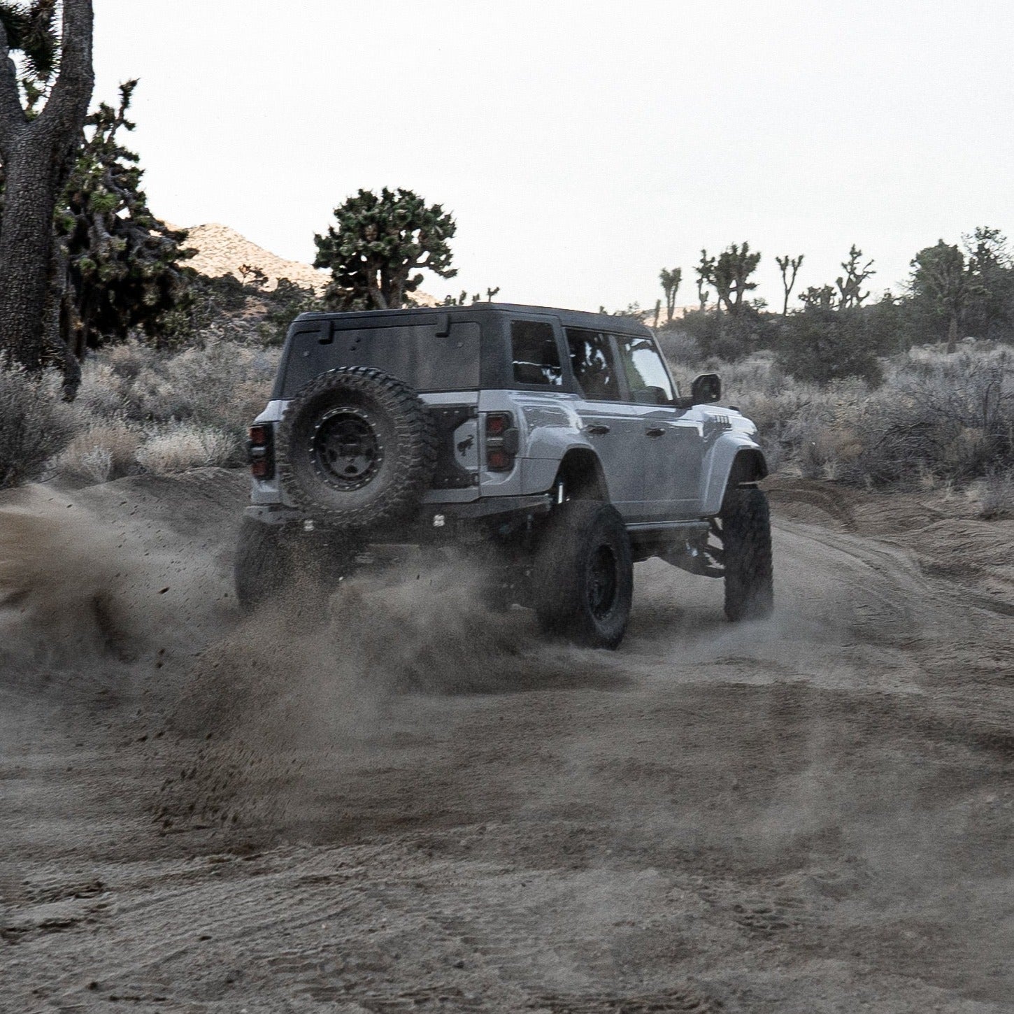 2022-2025 Ford Bronco Raptor fenders enhancing off-road performance in a rugged desert landscape.