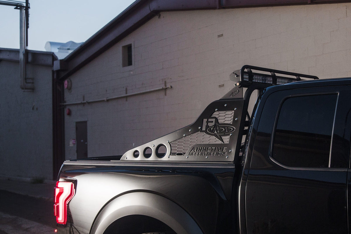 2017-2020 Ford Raptor, 2010-2014 Ford Raptor, 2004-2022 Ford F-150 Race Series Chase Rack Addictive Desert Designs