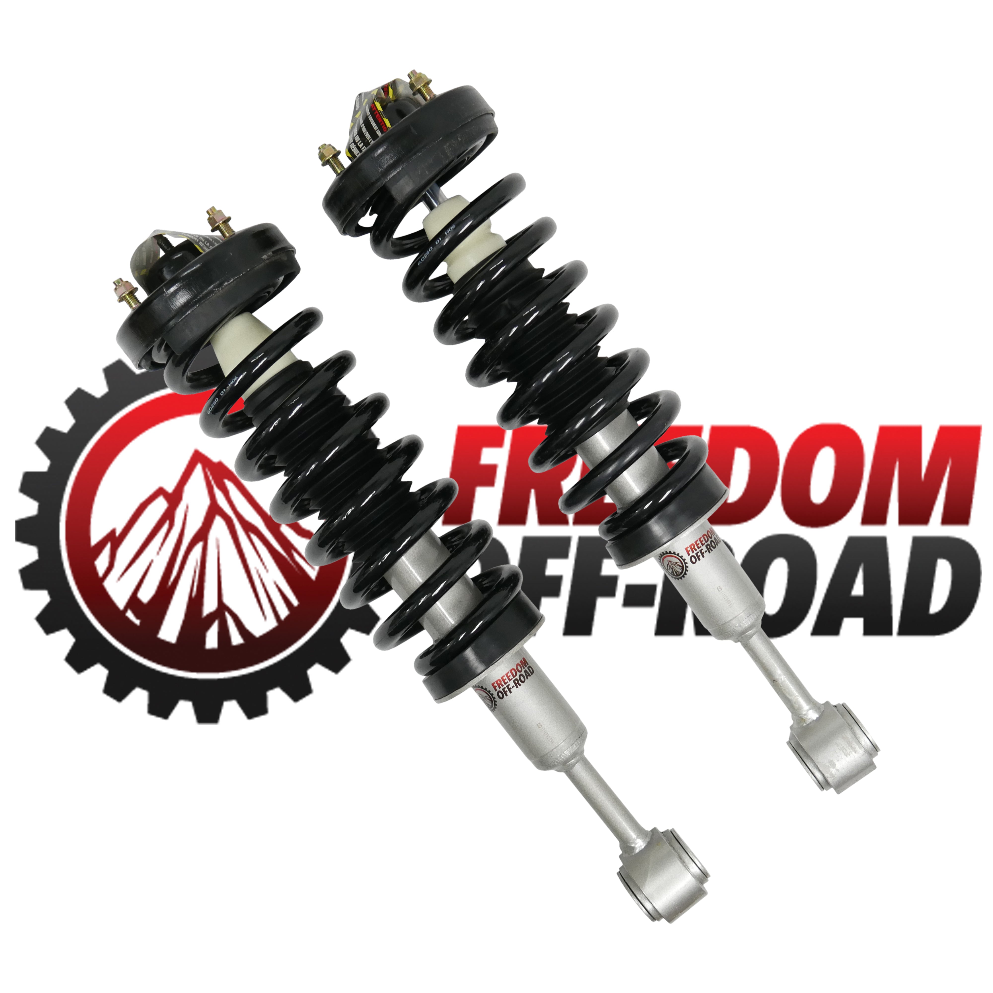 Front 3" Lift Strut Assembly #FO-F804F30