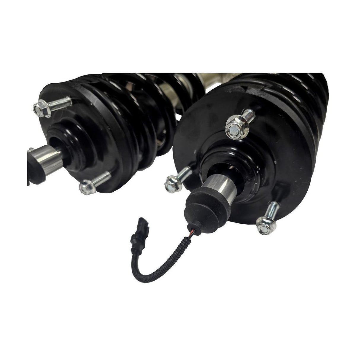 MagneRide 2 Inch Loaded Lift Struts Freedom Off-Road