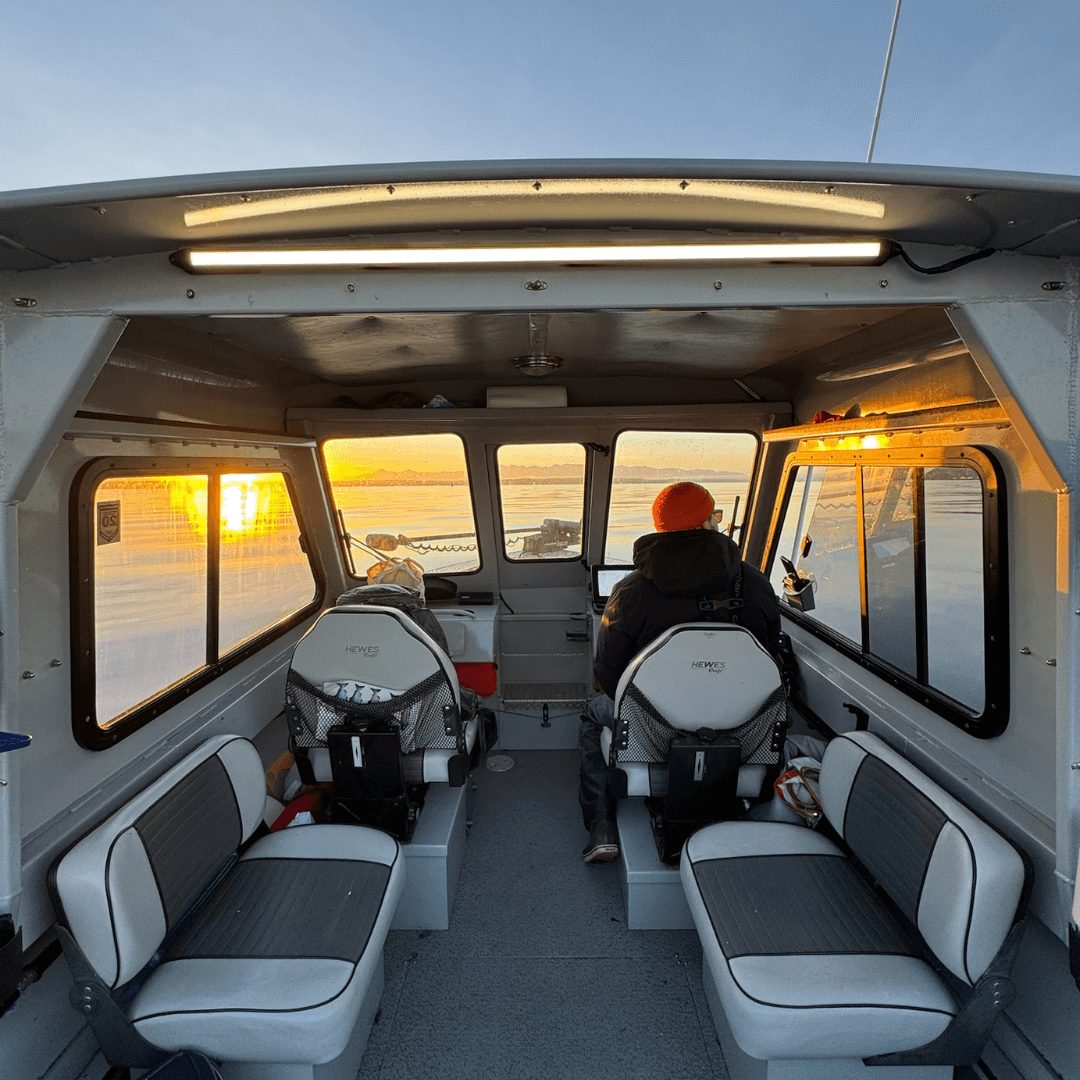 V Series 40" Light
