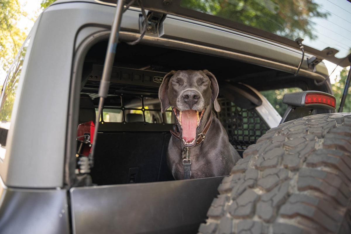 2021 2024 Ford Bronco Dog Barrier DV8 Offroad