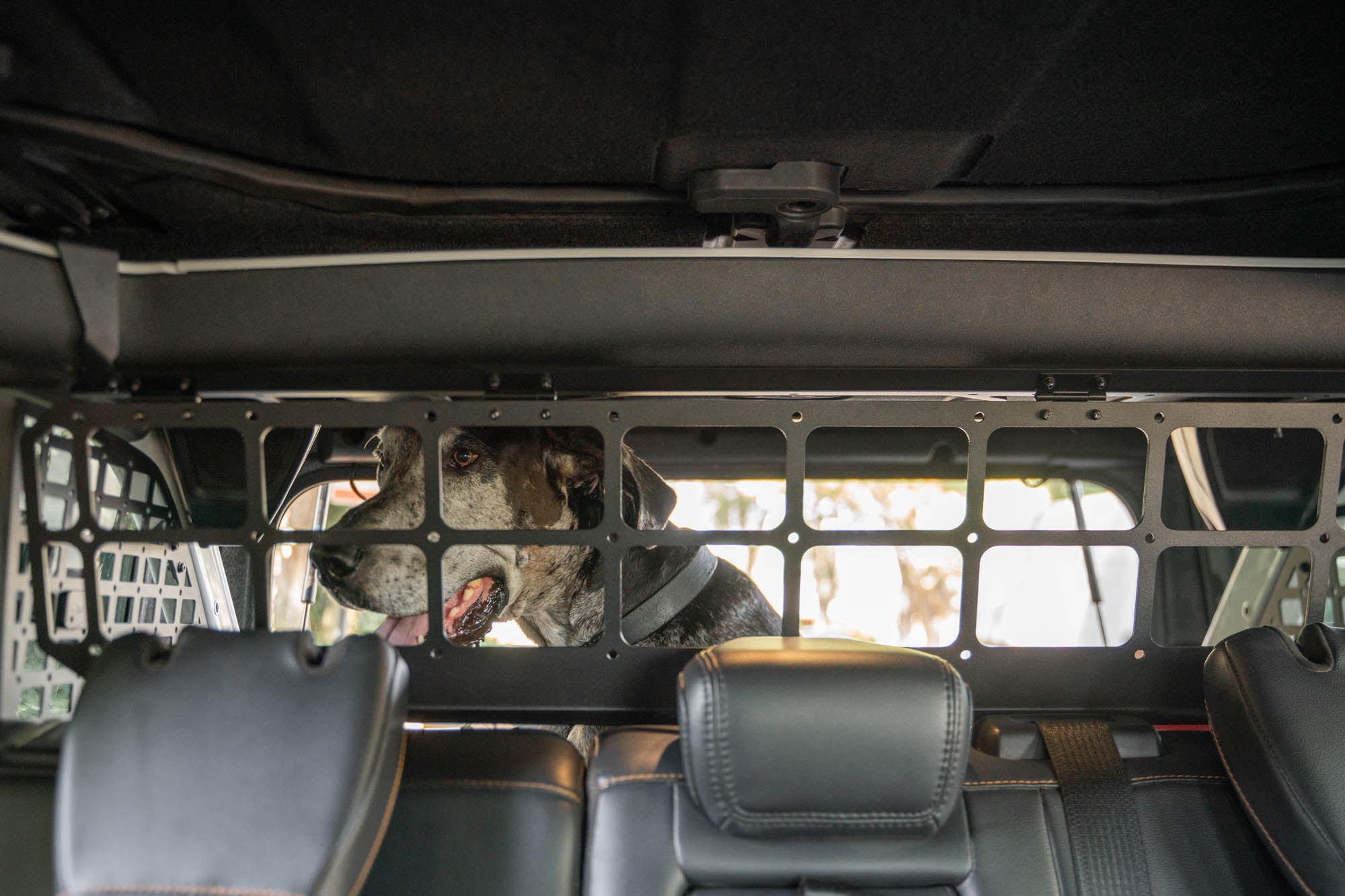 2021 2024 Ford Bronco Dog Barrier DV8 Offroad