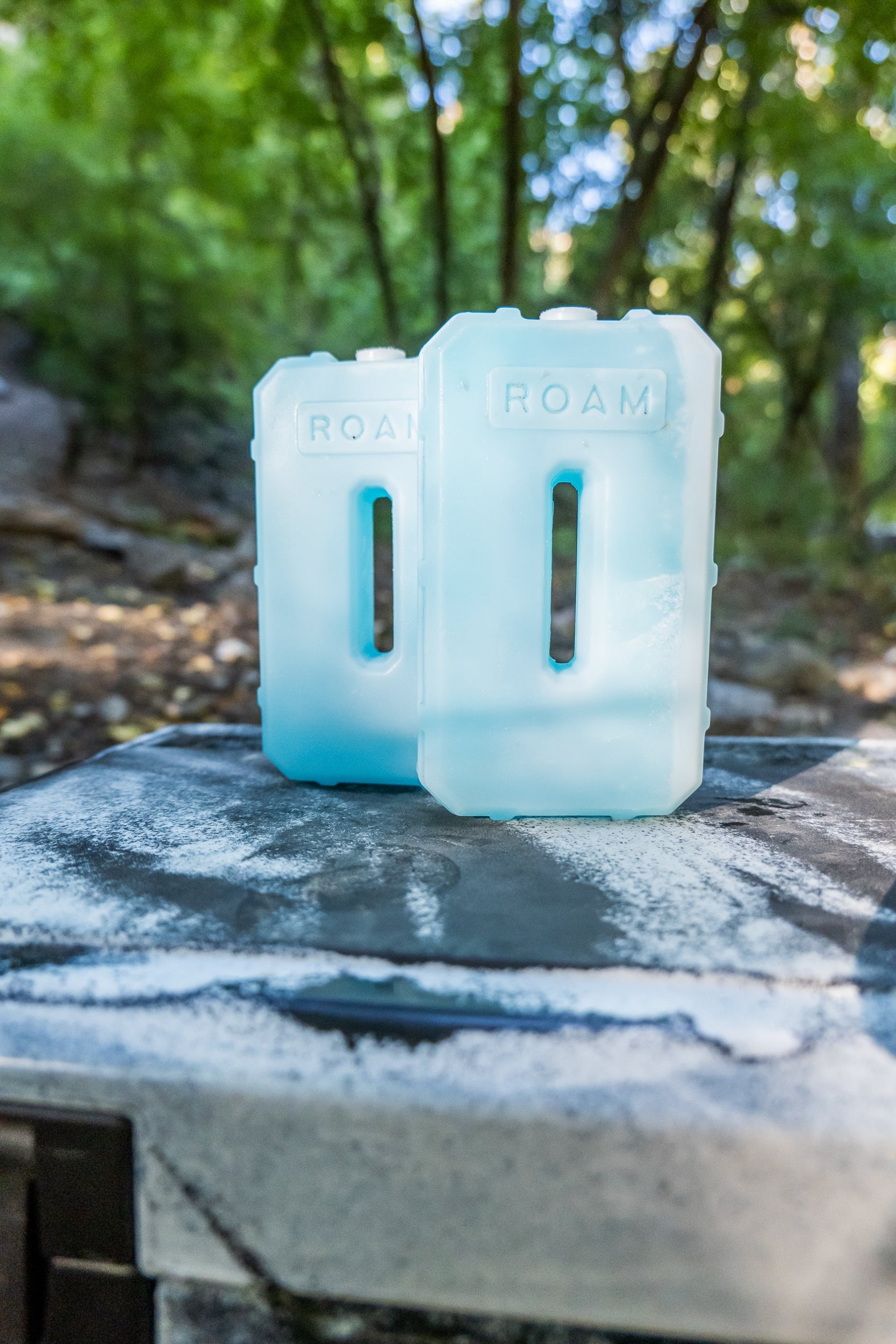 ROAM Ice Pack
