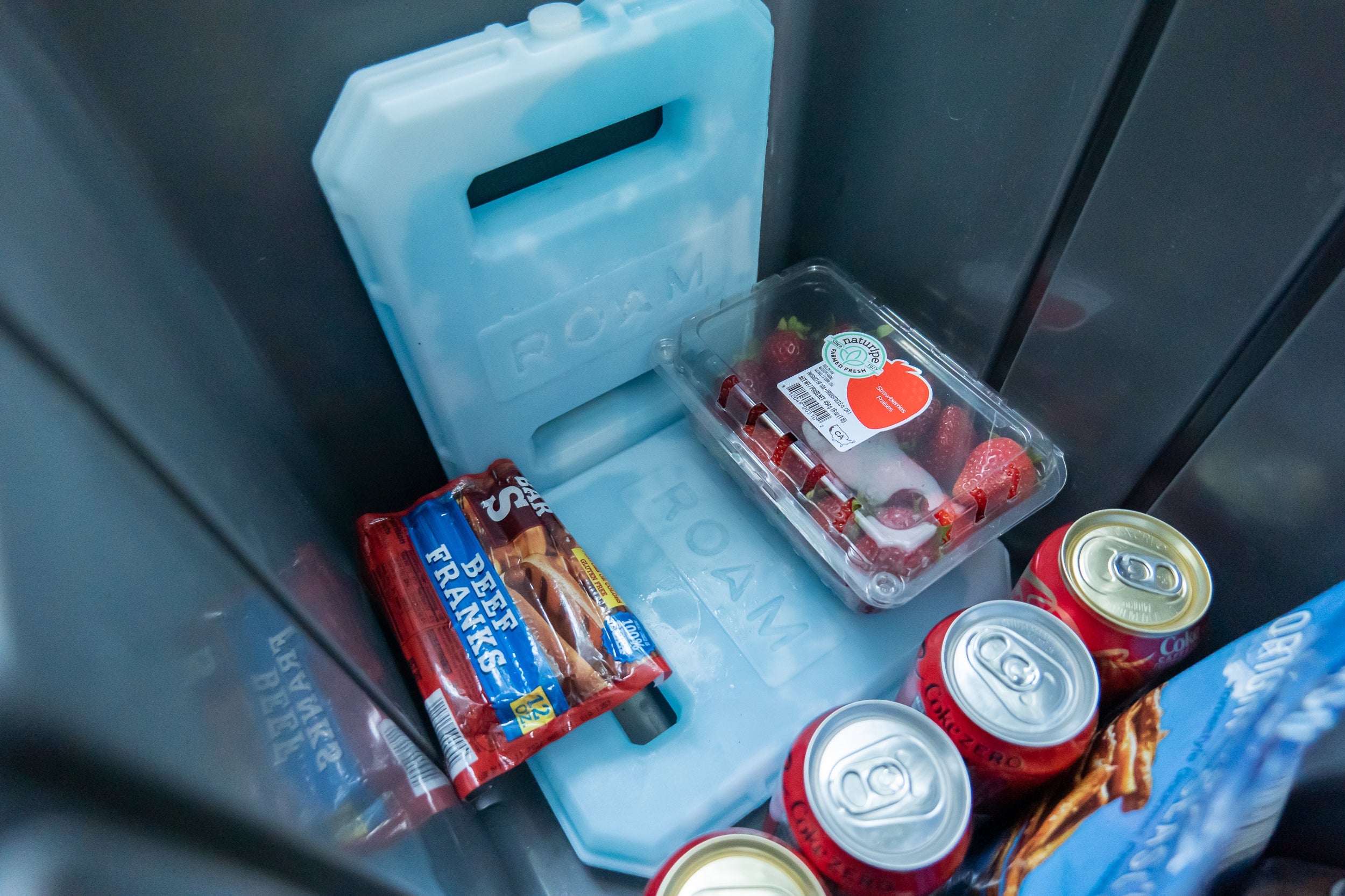 ROAM Ice Pack