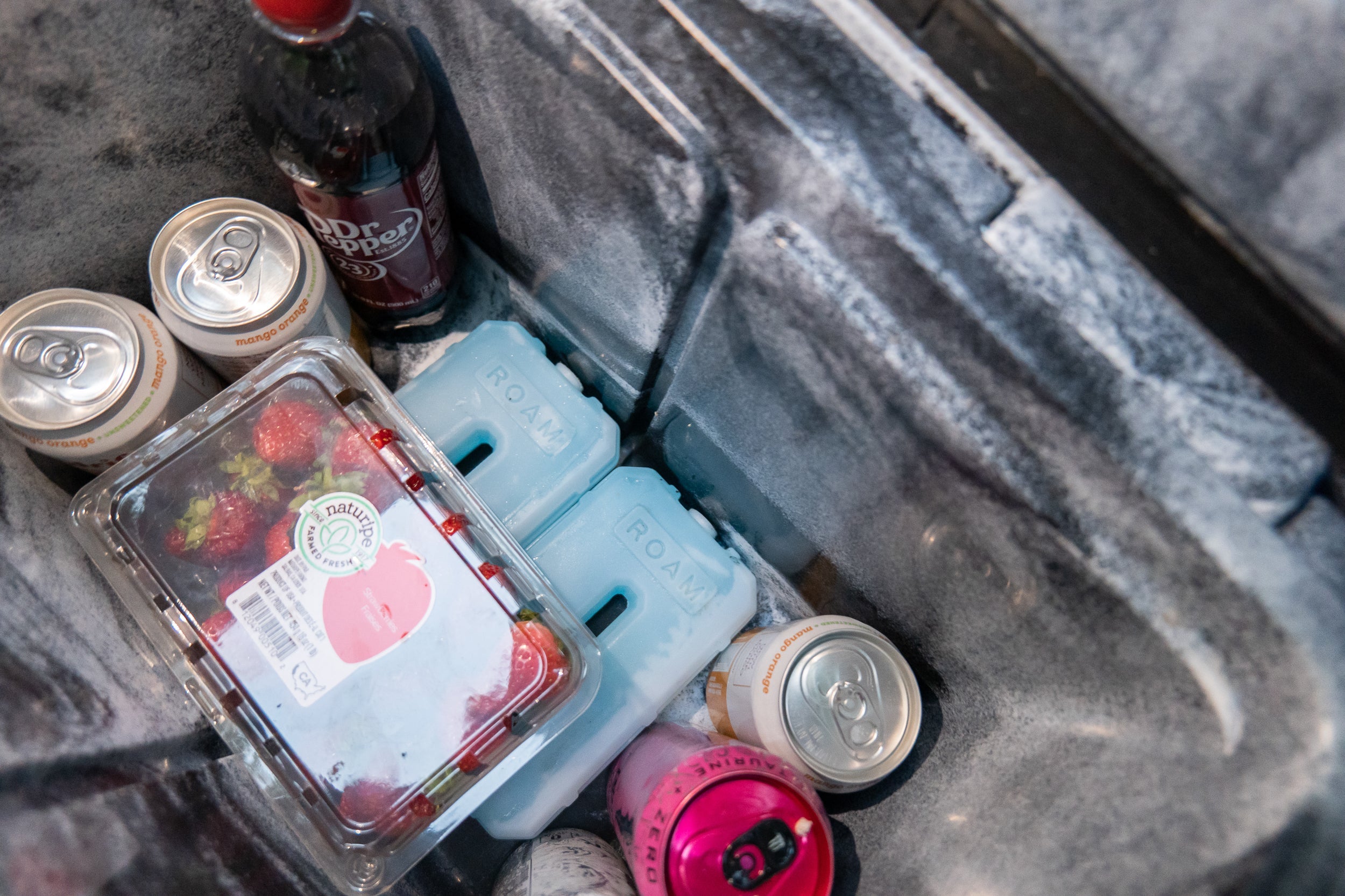 ROAM Ice Pack