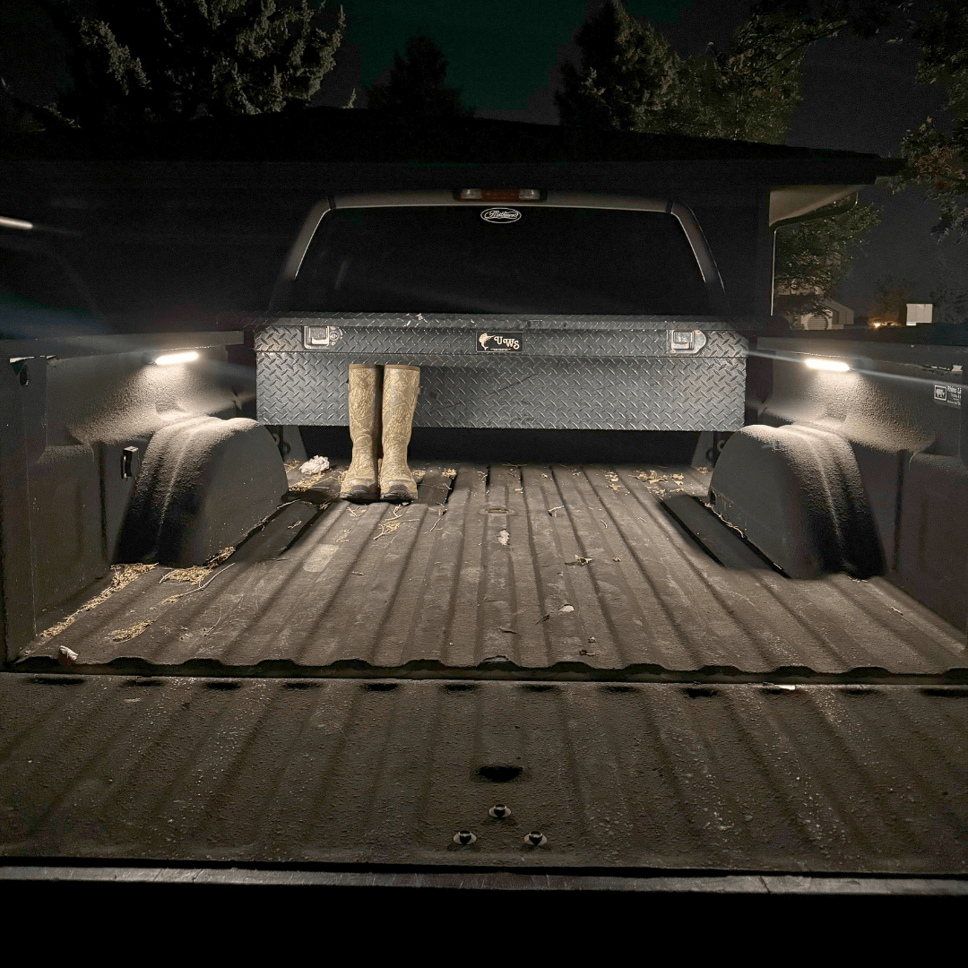 V Series 12" Light
