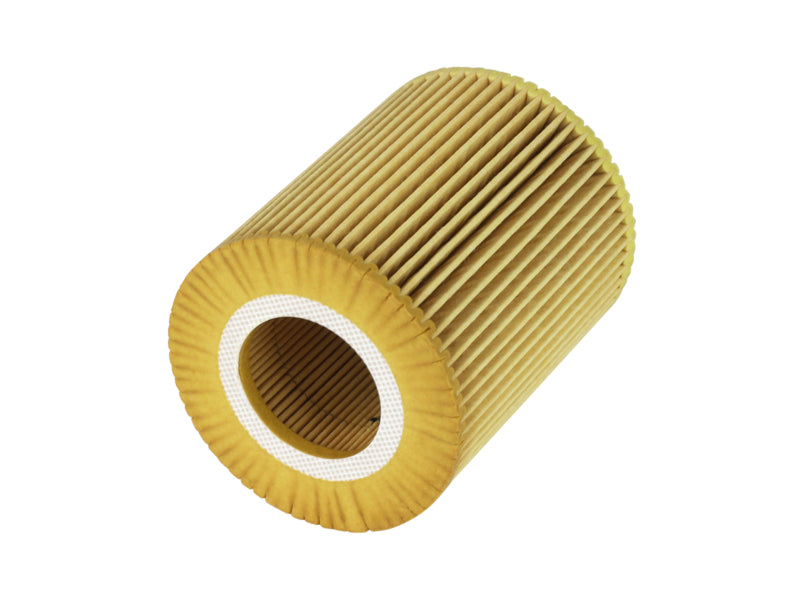 Afe ProGuard oil filter featuring a cylindrical design with pleated paper for efficient filtration.