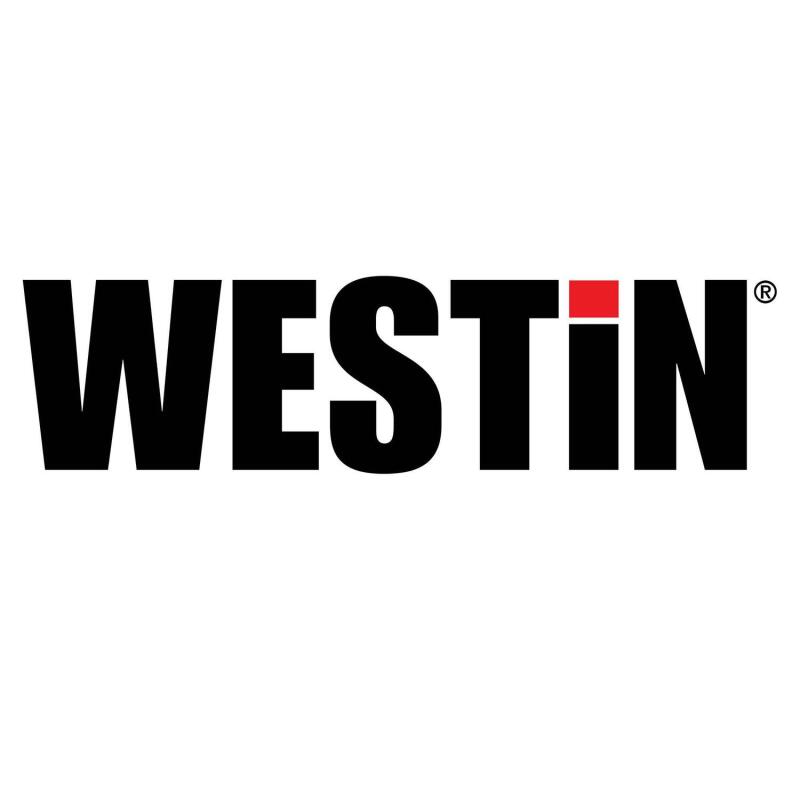 Westin 2019-2026 Ram 1500 Crew Cab (Excl. 1500 Classic) PRO TRAXX 4 Oval Nerf Step Bars - SS - Black