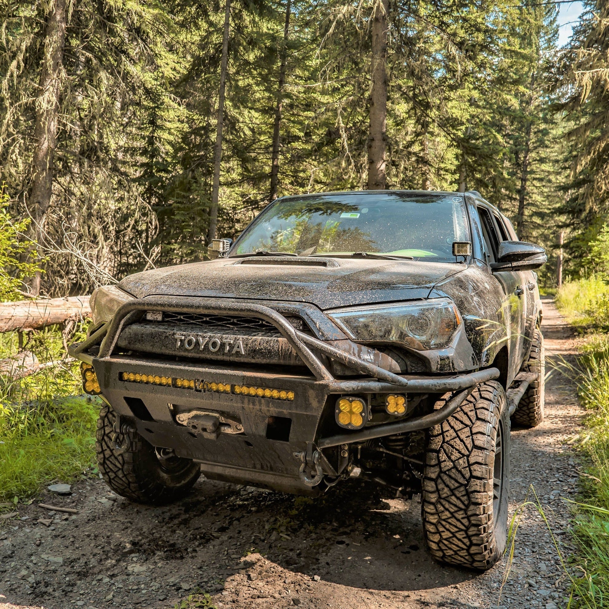 4Runner Hybrid Front Bumper for 5th Gen models (2014-2024) installed on a rugged Toyota 4Runner in a forested trail.