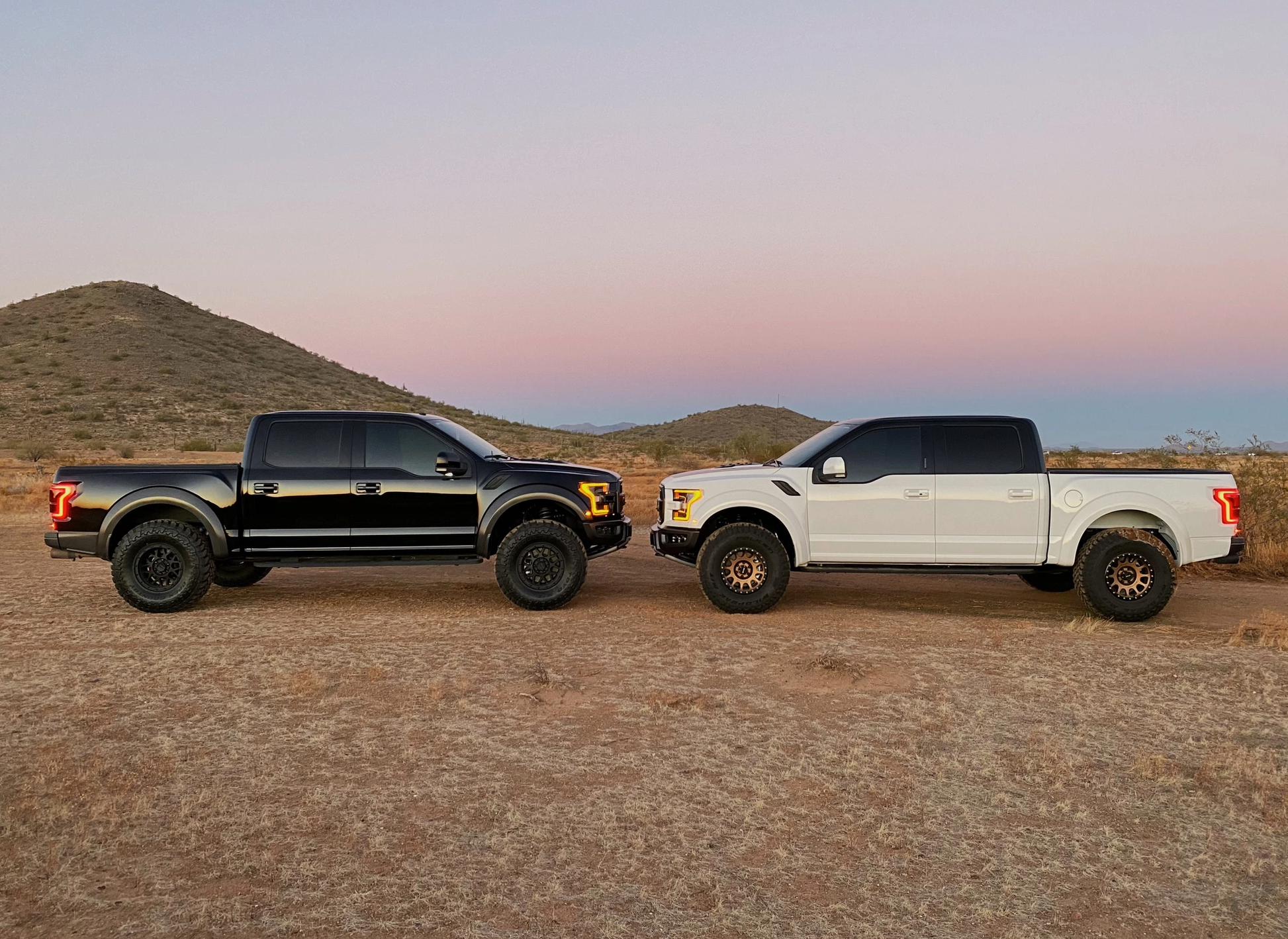 Geiser Offroad Gen 2 Raptor Progressive Springs +3